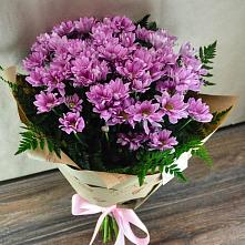 Букет цветов из:  Хризантемы #REPLACE_PRED# Приводино