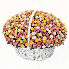 Премиум букет из: Розы в Приводино