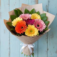 Букет цветов из:  Герберы #REPLACE_PRED# Приводино