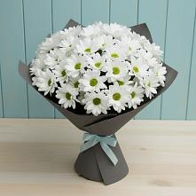 Букет цветов из:  Хризантемы в Приводино