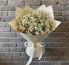 Букет цветов из:  Ромашки в Приводино