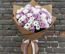 Букет цветов из:  Хризантемы в Приводино