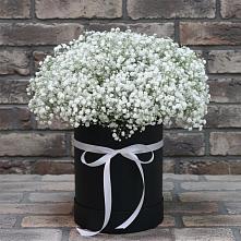 Цветочная композиция из Гипсофила в шляпной коробке #REPLACE_PRED# Приводино