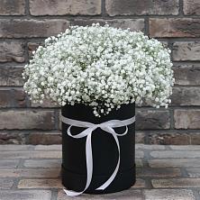 Цветочная композиция из Гипсофила в шляпной коробке в Приводино