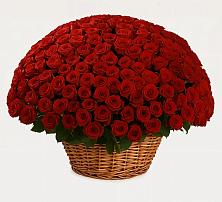 Премиум букет из: Розы в Приводино