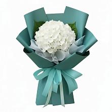 Букет цветов из:  Гортензия в Приводино